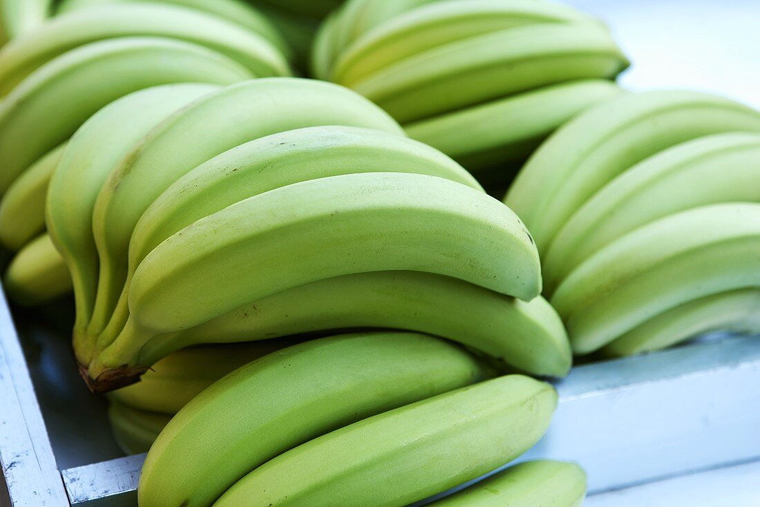 Unripe bananas