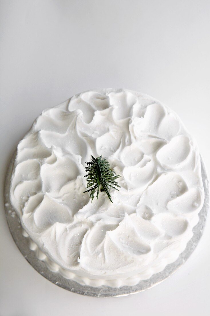 'Schnee-Torte' mit kleinem Tannenbaum