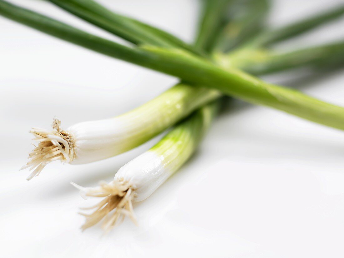 Three spring onions