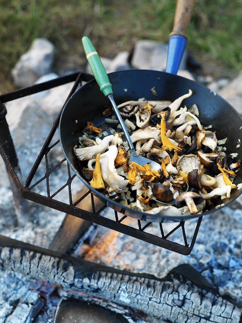 Mixed mushrooms in a frying pan on barbecue rack