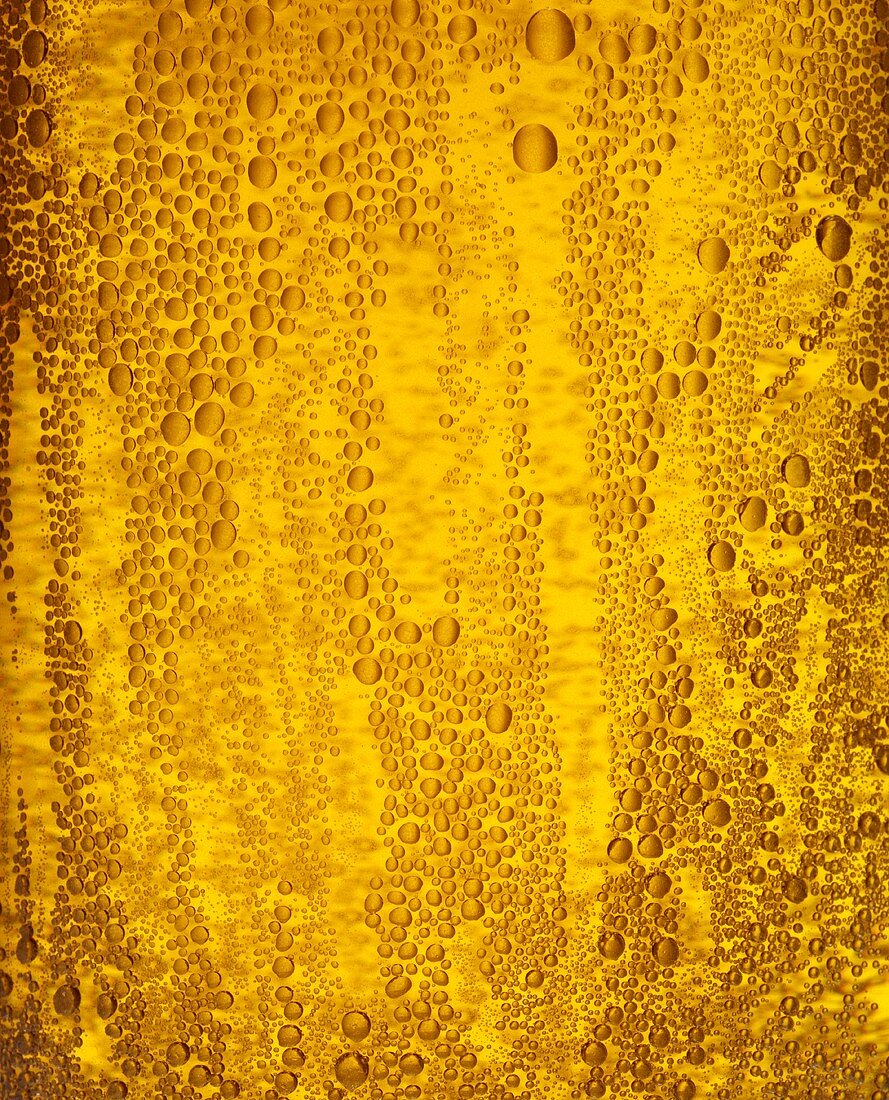 A glass of lager with condensation, full-frame