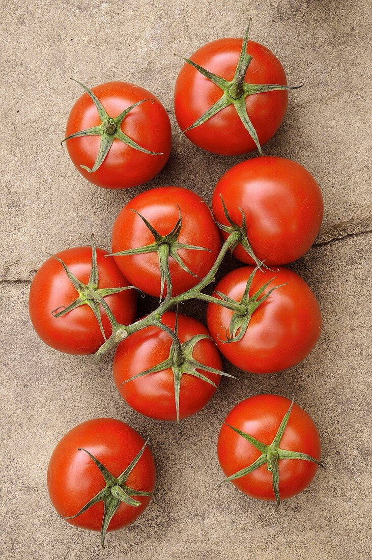 Reife Tomaten mit Rispe