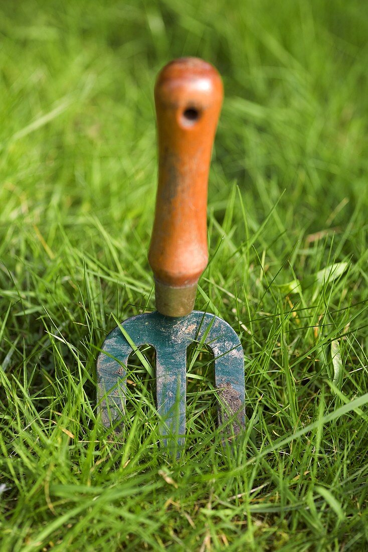 Gartenwerkzeug im Gras