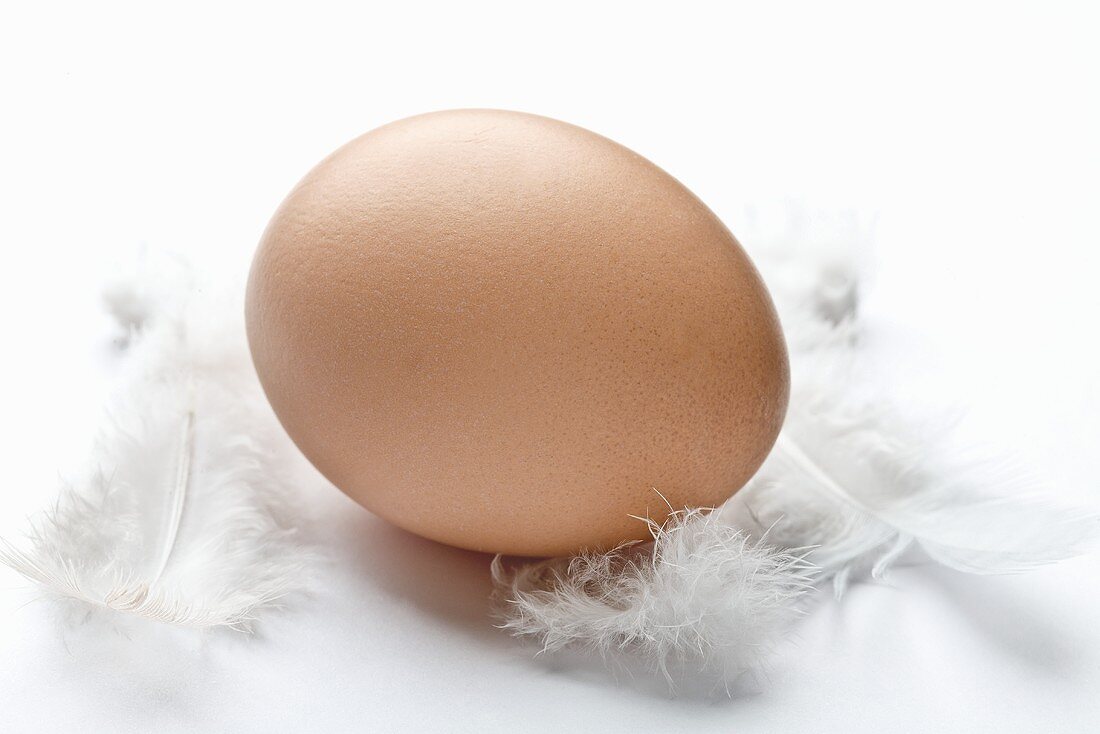A brown egg with feathers