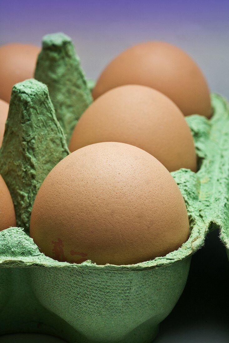 Braune Eier im Eierkarton (Ausschnitt)