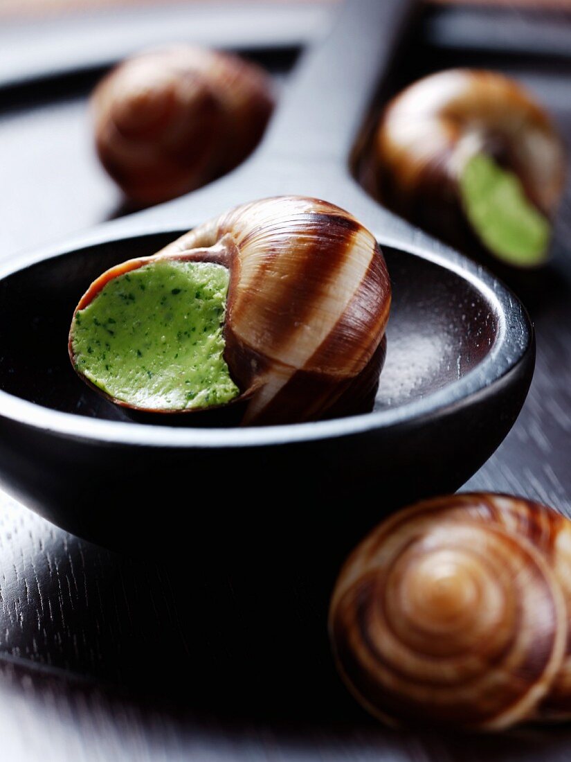 Snails stuffed with garlic and parsley cream