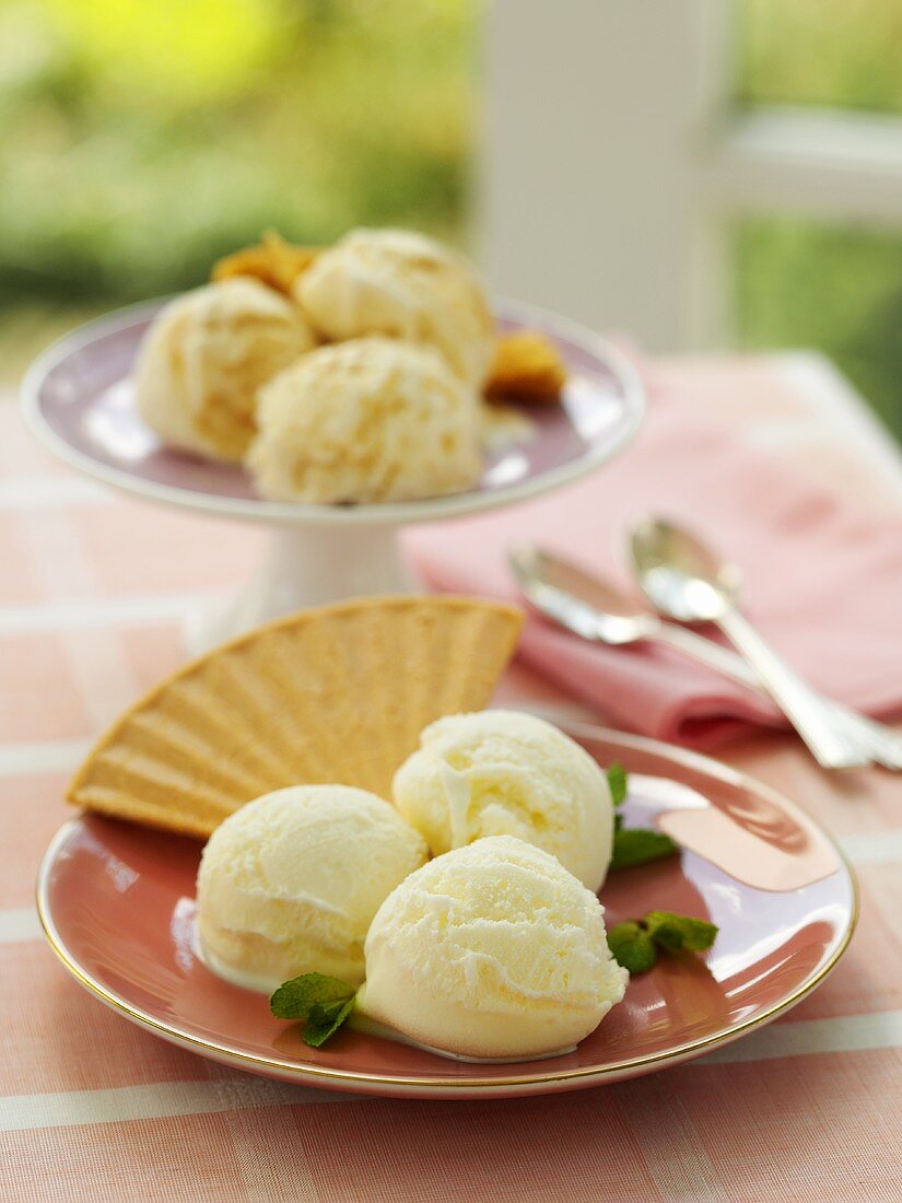 Ice cream with fan wafer and mint leaves on plate