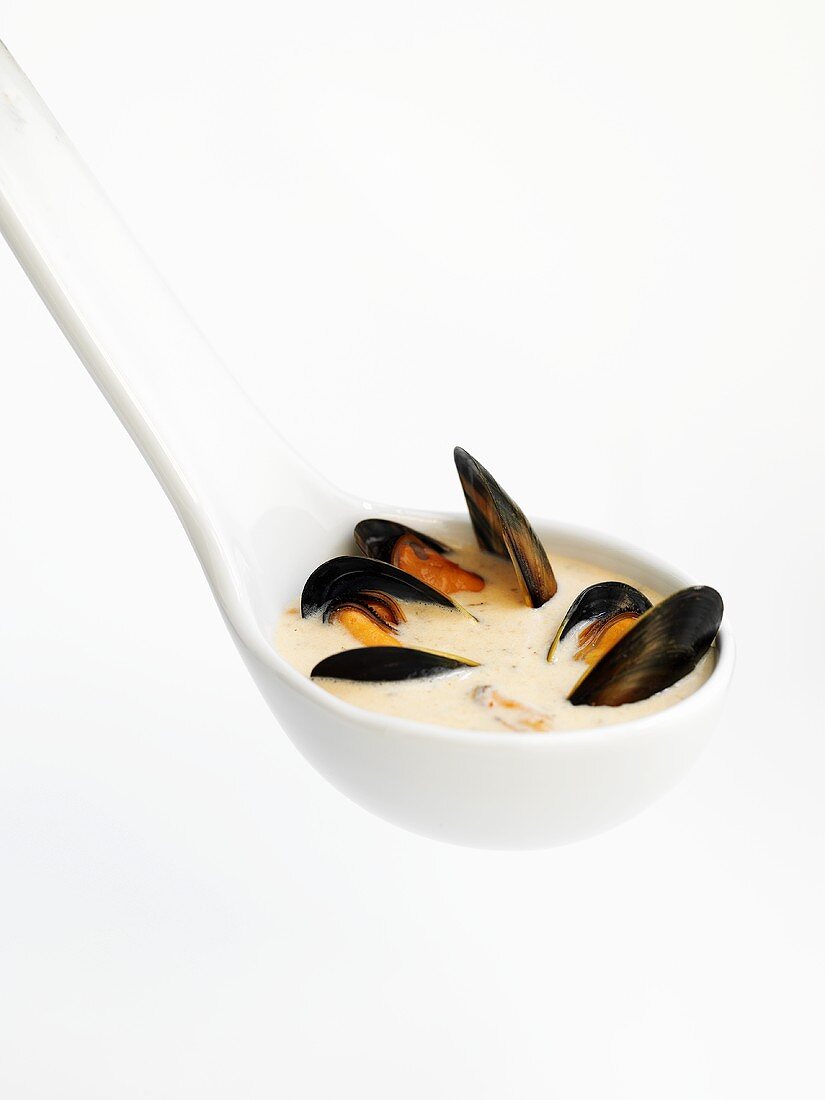 Mussel soup in ladle