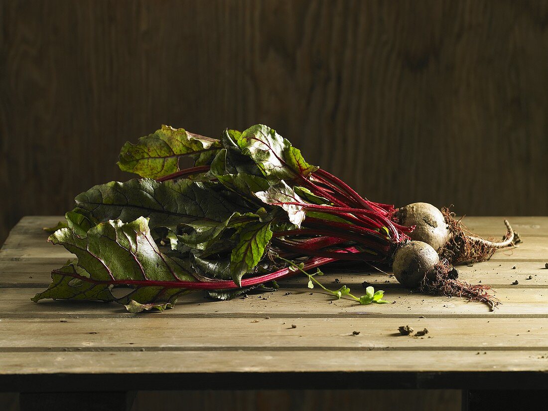 Freshly picked beetroot with leaves