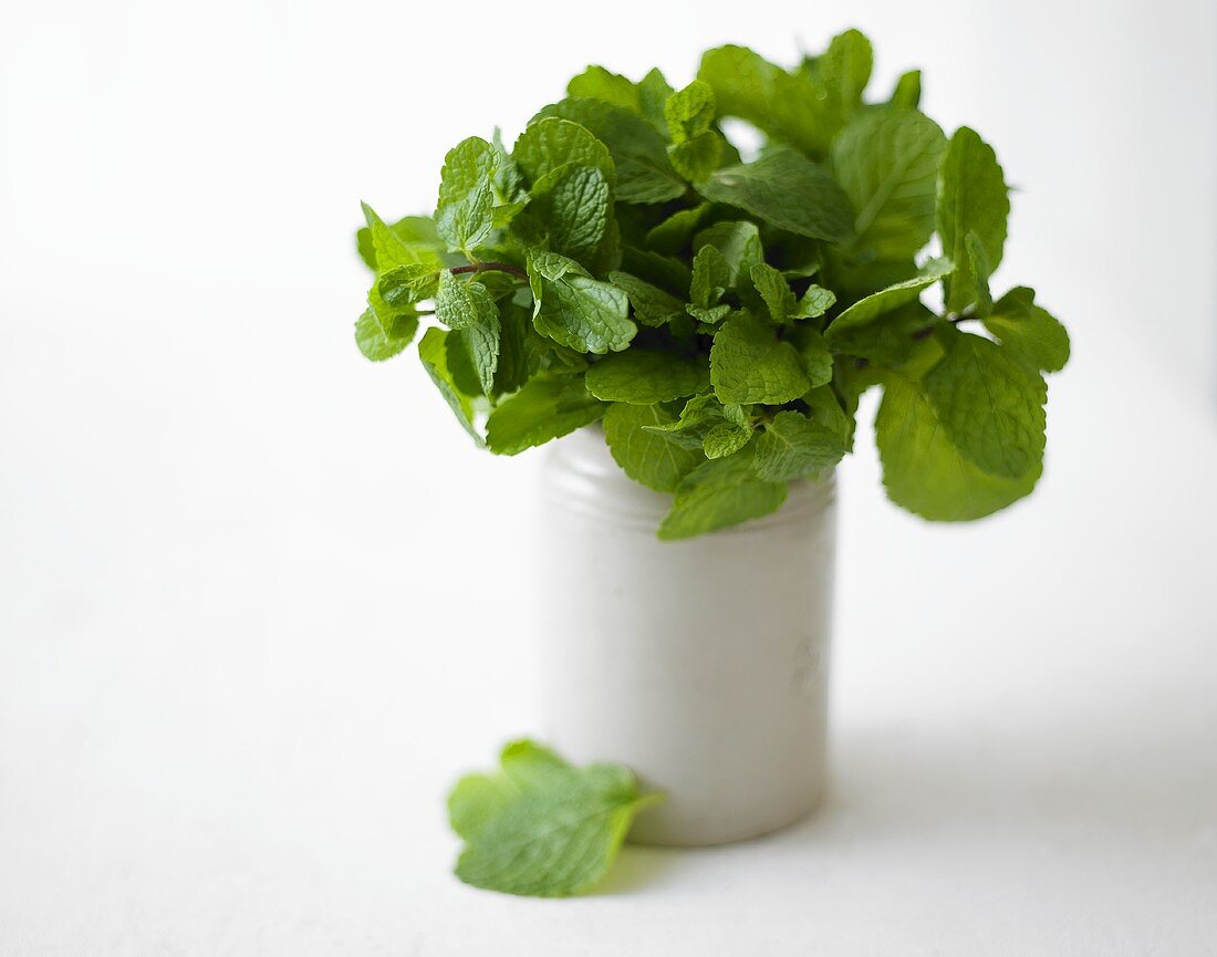Peppermint in a vase
