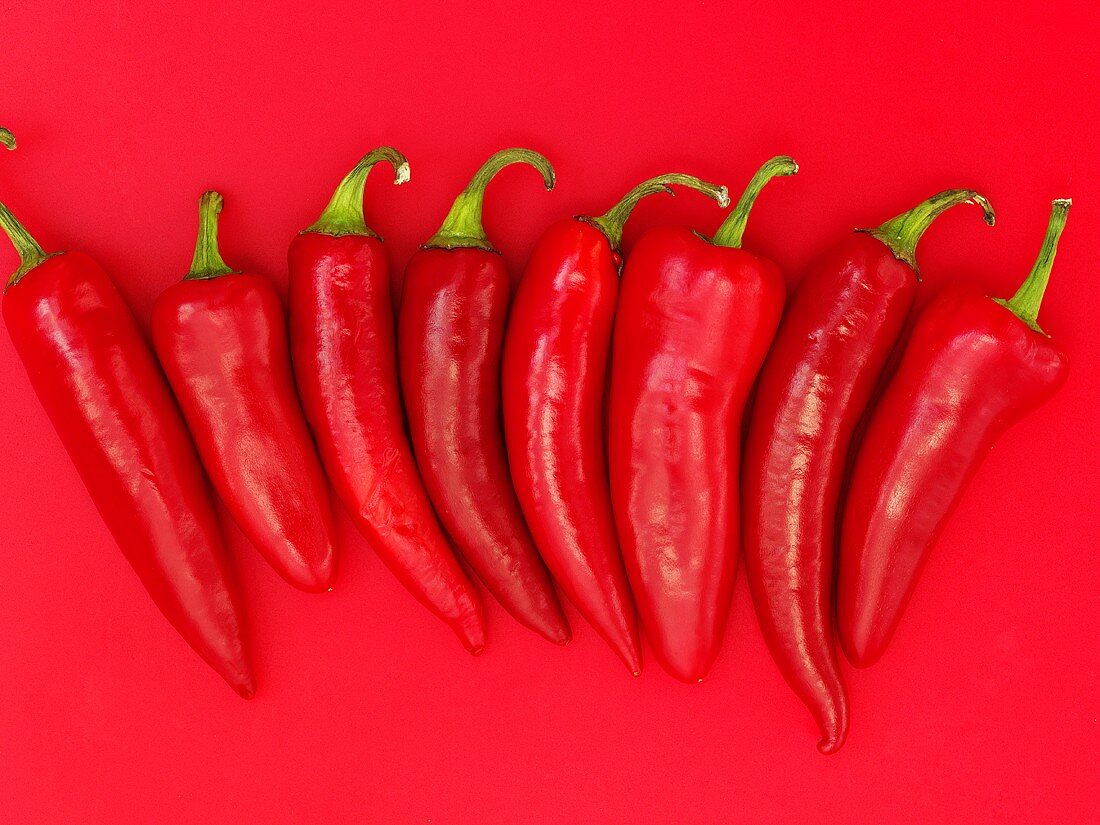 Red chilli peppers on a red background