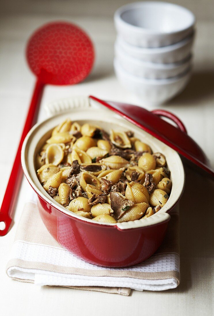 Pasta shells with mushrooms