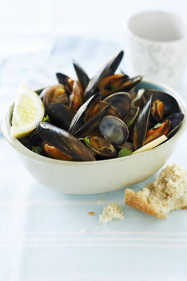 Steamed mussels and clams