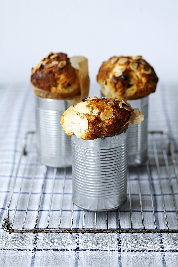 Panettone in barattolo (Hefekuchen in Konservendosen)