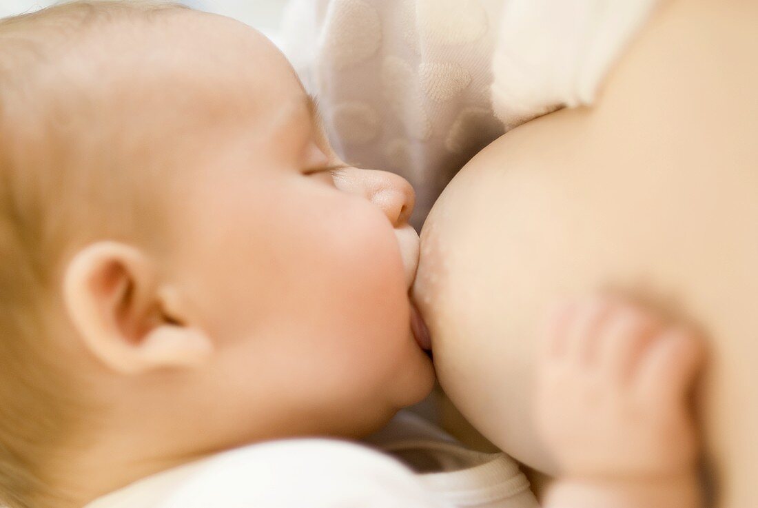 Baby Eating Mothers Milk Mother Breastfeeding Stock Photo 1239630469