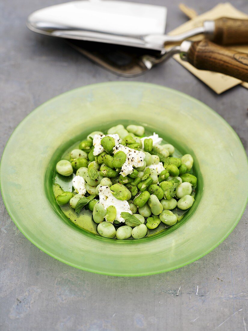 Broad beans with goat's cheese
