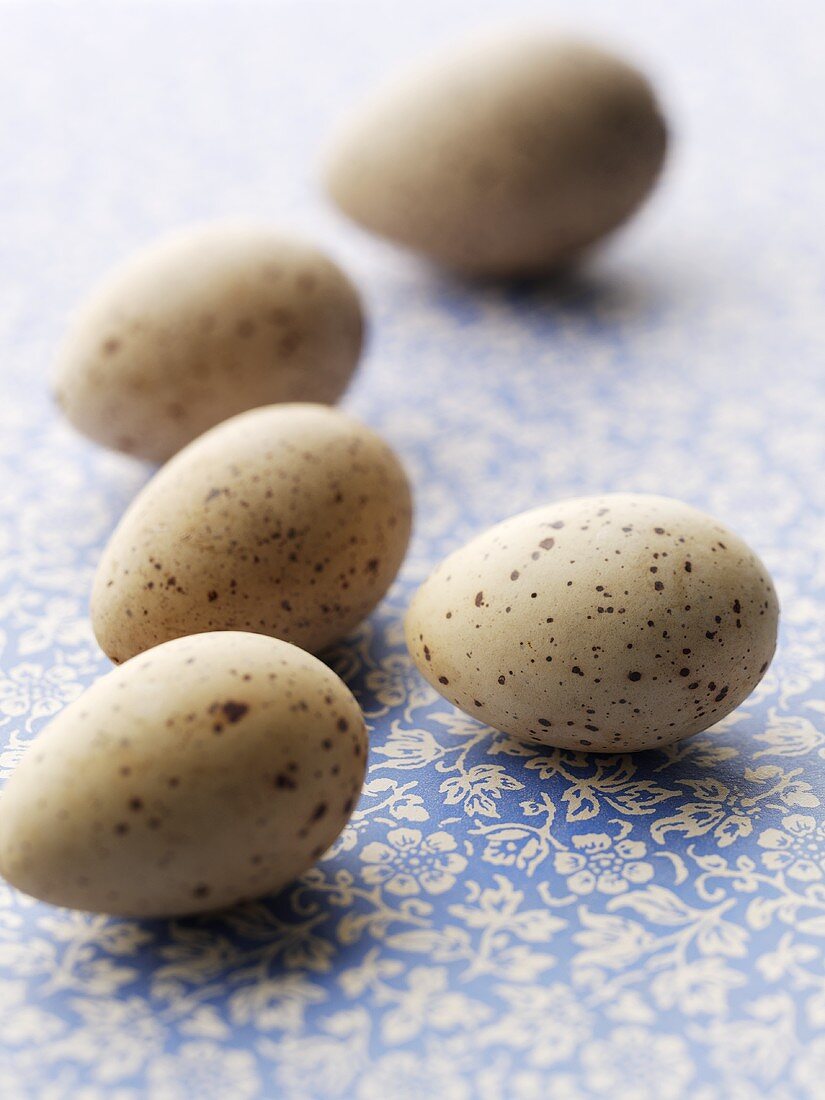 Five gulls' eggs