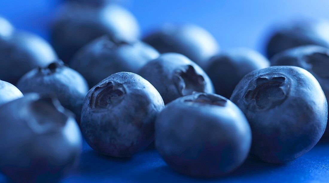 Several blueberries, close-up
