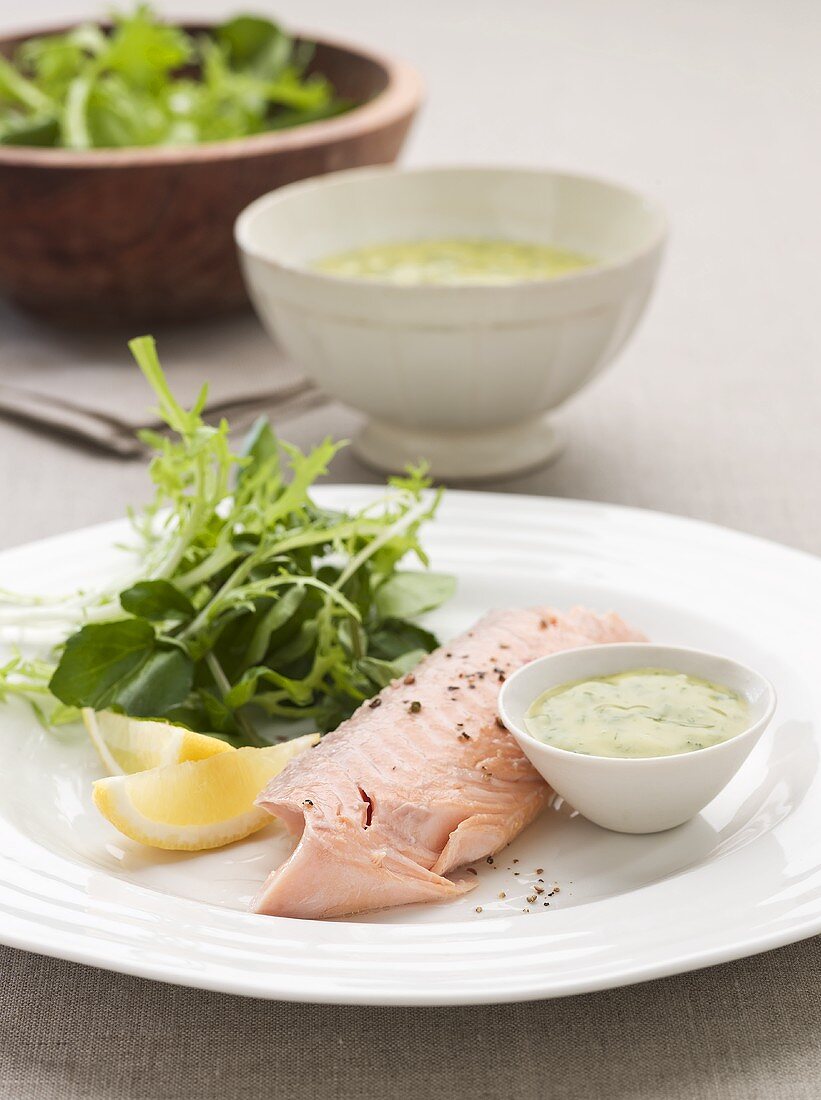 Salmon trout with herb sauce and salad leaves