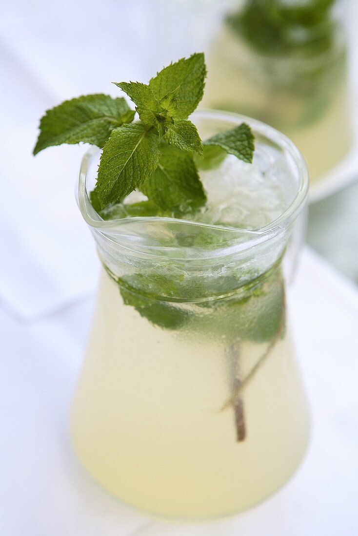Lemonade with fresh mint in glass jug
