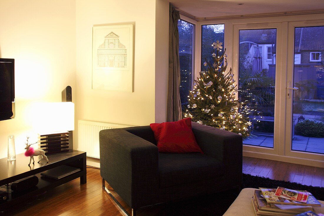 Living room, decorated Christmas tree in background