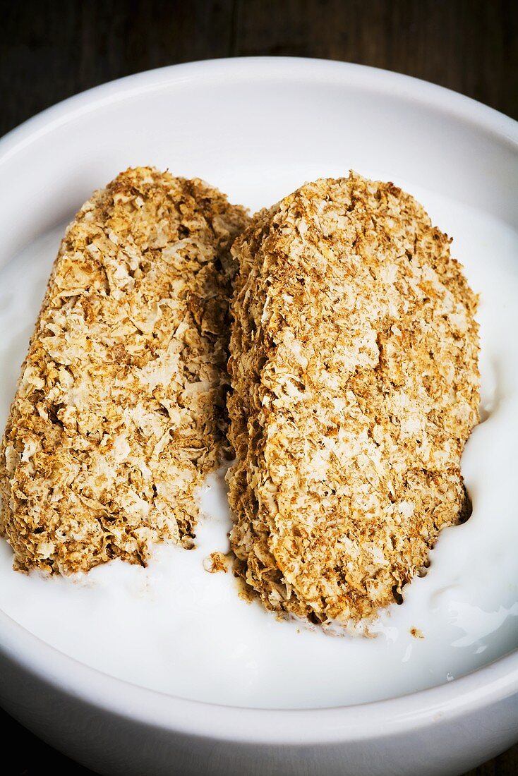 Whole grain wheat biscuits on yoghurt