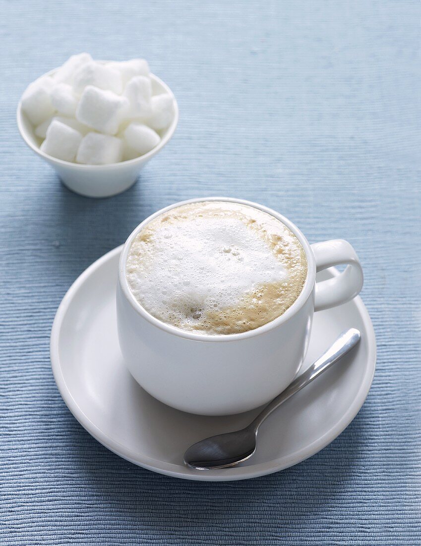 Cappuccino in a White Mug on a Saucer, White Background