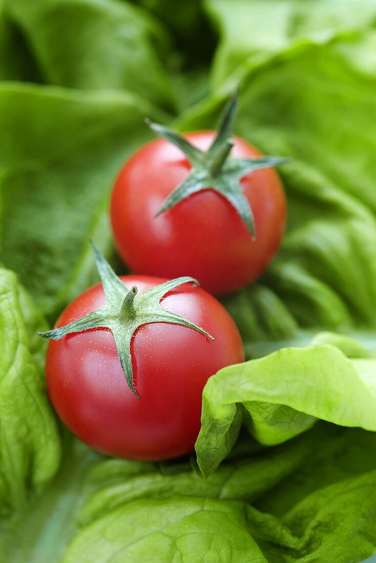 Tomaten auf Blattsalat