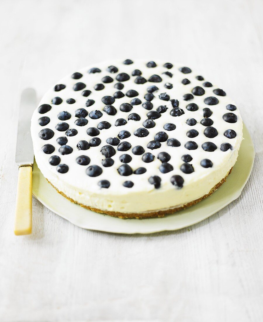 White chocolate cheesecake with blueberries