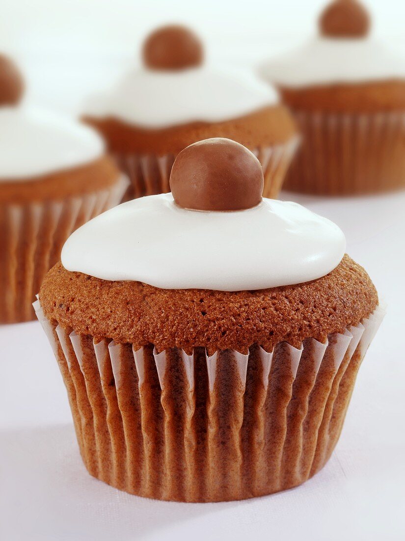 Chocolate fairy cakes decorated with icing sugar