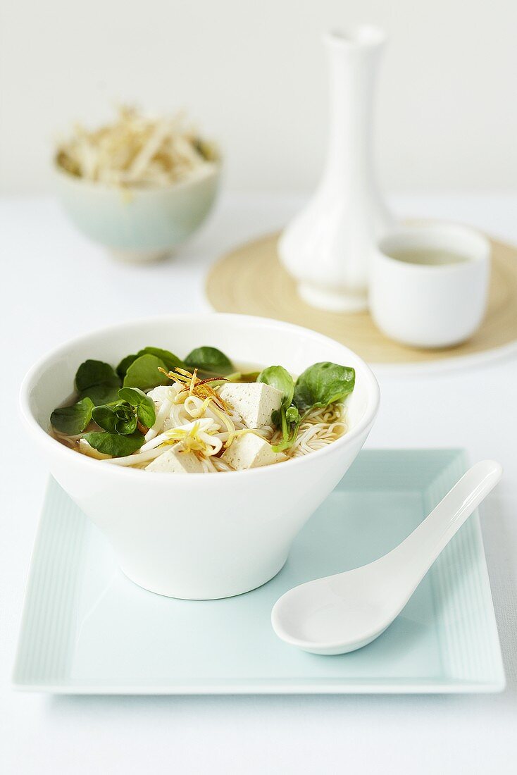 Noodle with miso, tofu and beansprouts (Japan)