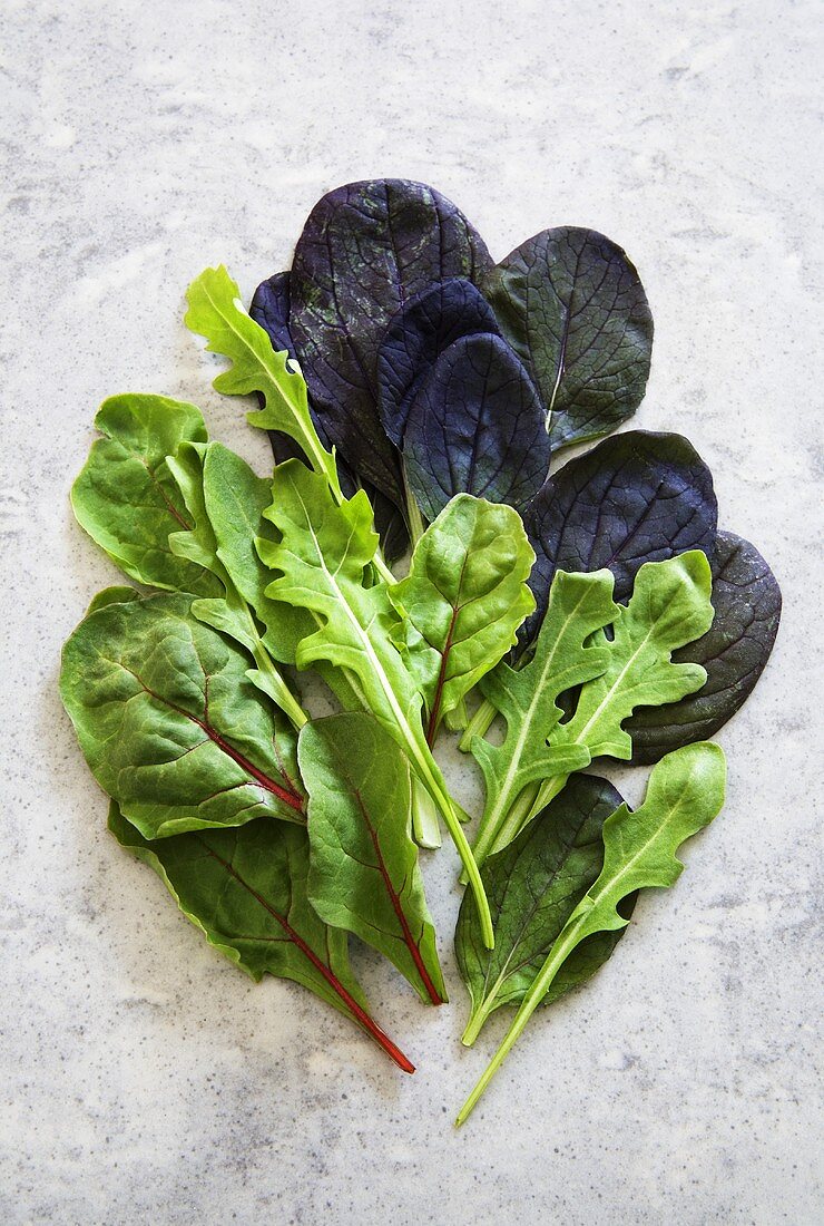 Various types of lettuce leaves (red bok choy, rocket and spinach)