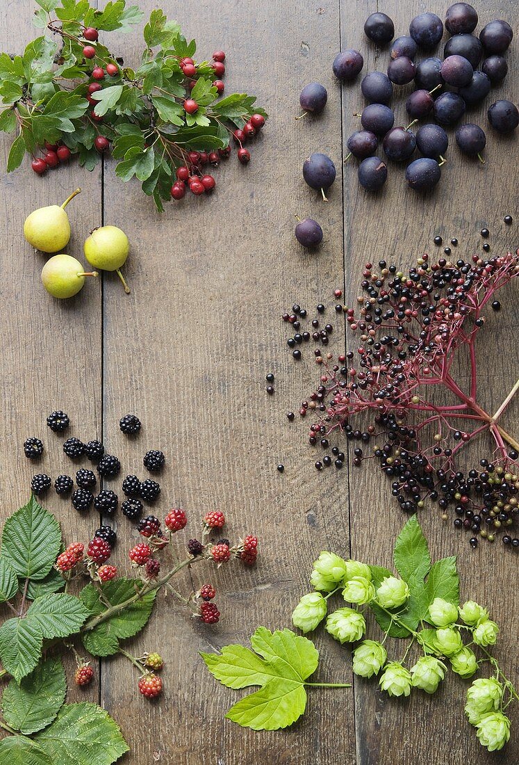 Berries, damsons, hops and pears