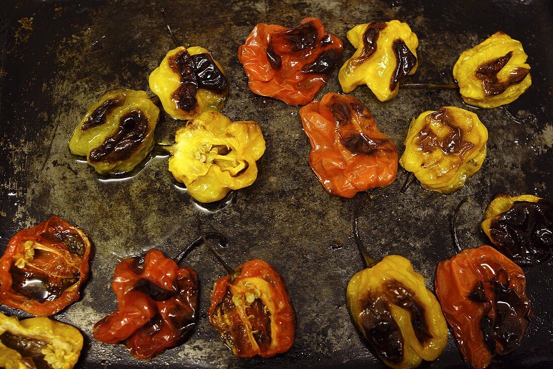 Fried or roasted chillies