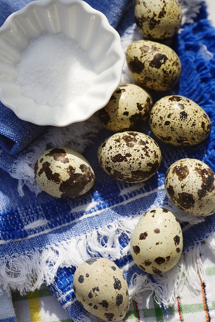 Bolied quails' eggs and salt for a picnic