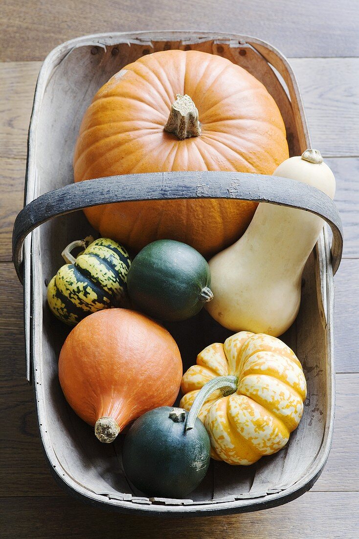 Various pumpkins in a basket
