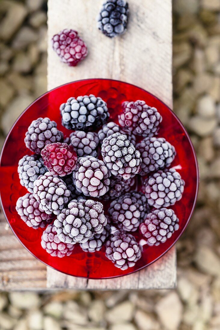 Frozen blackberries on a red plate