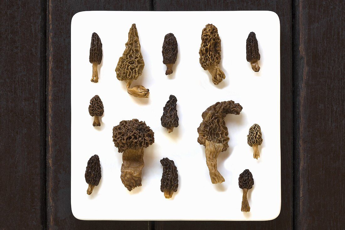 Various morel mushrooms on a white plate, seen from above