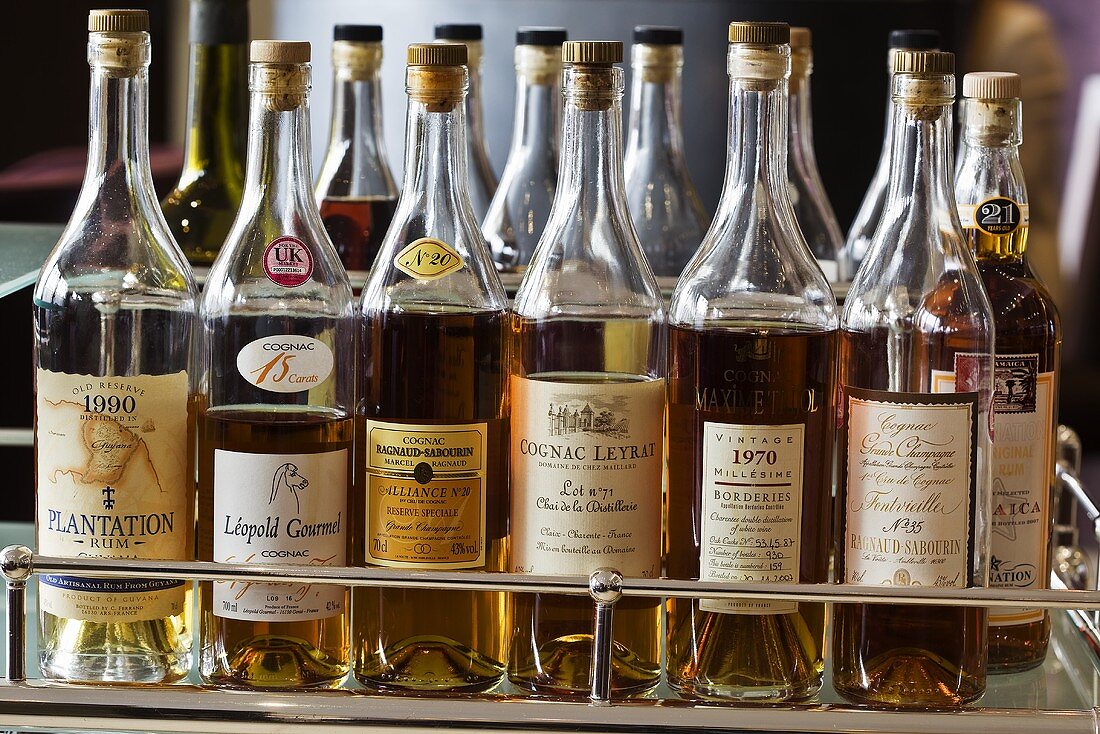 Various types of cognac