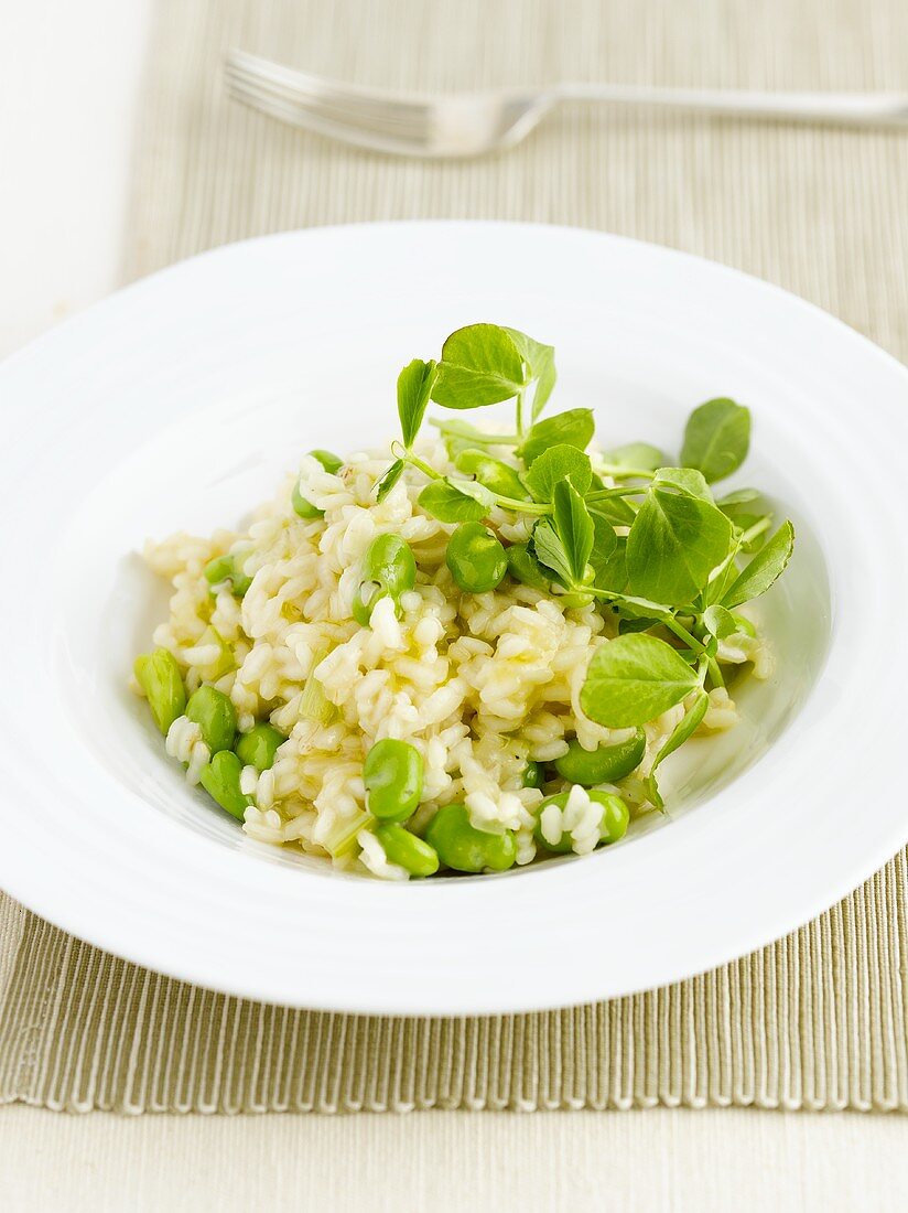 Risotto mit Saubohnen