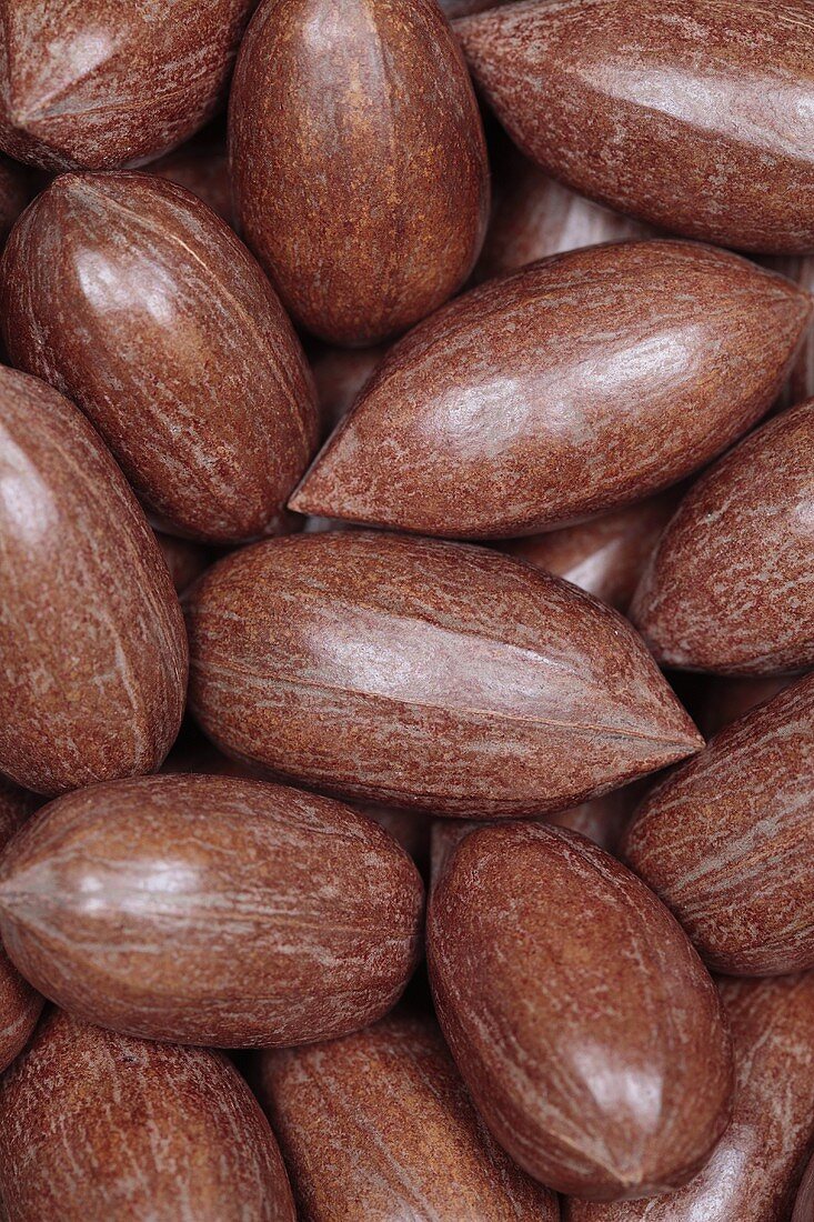 Whole pecan nuts, macro zoom