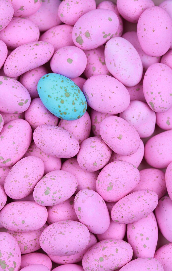 A blue chocolate egg surrounded by pink chocolate eggs