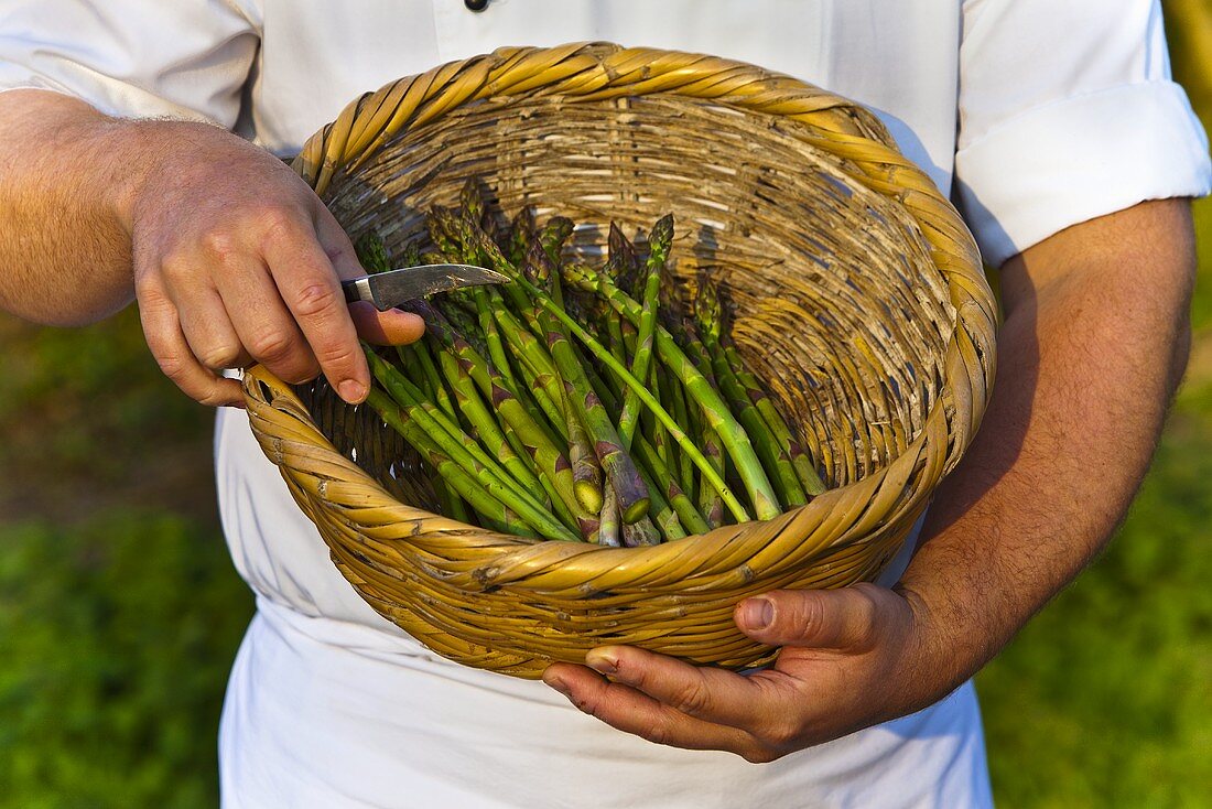 Cook holding a basket with asparagus (Saundersfoot, Pembrokeshire, Wales)