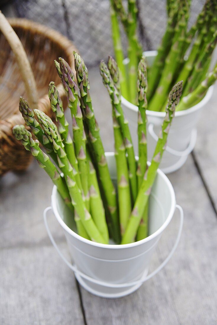 Still life with green asparagus stalks in a metal bucket