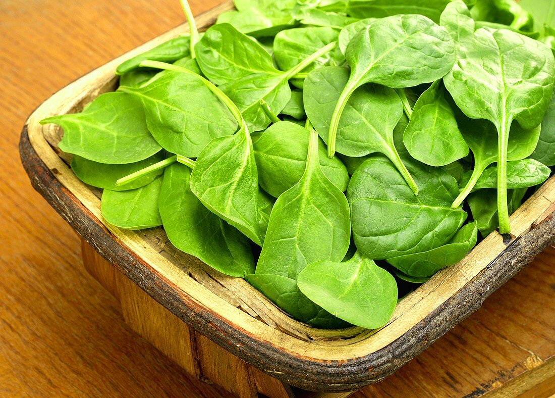 Fresh spinach leaves in a basket