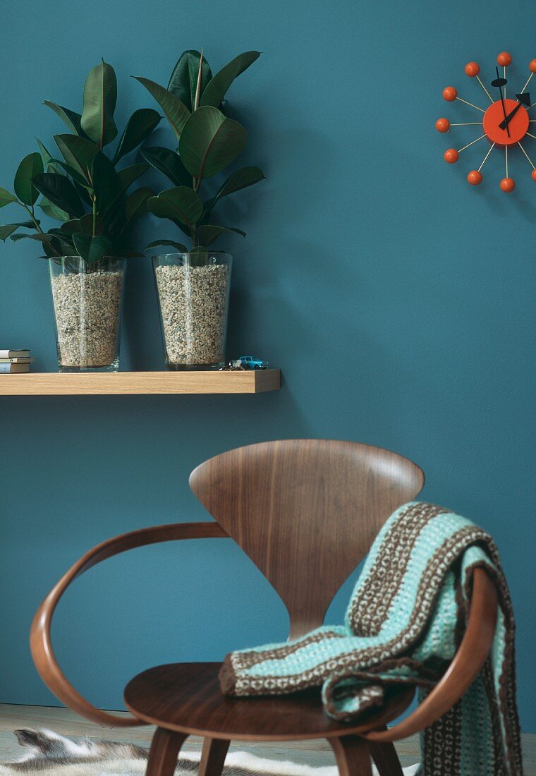 Designer chair and two rubber plants in decorative gravel in glass vases