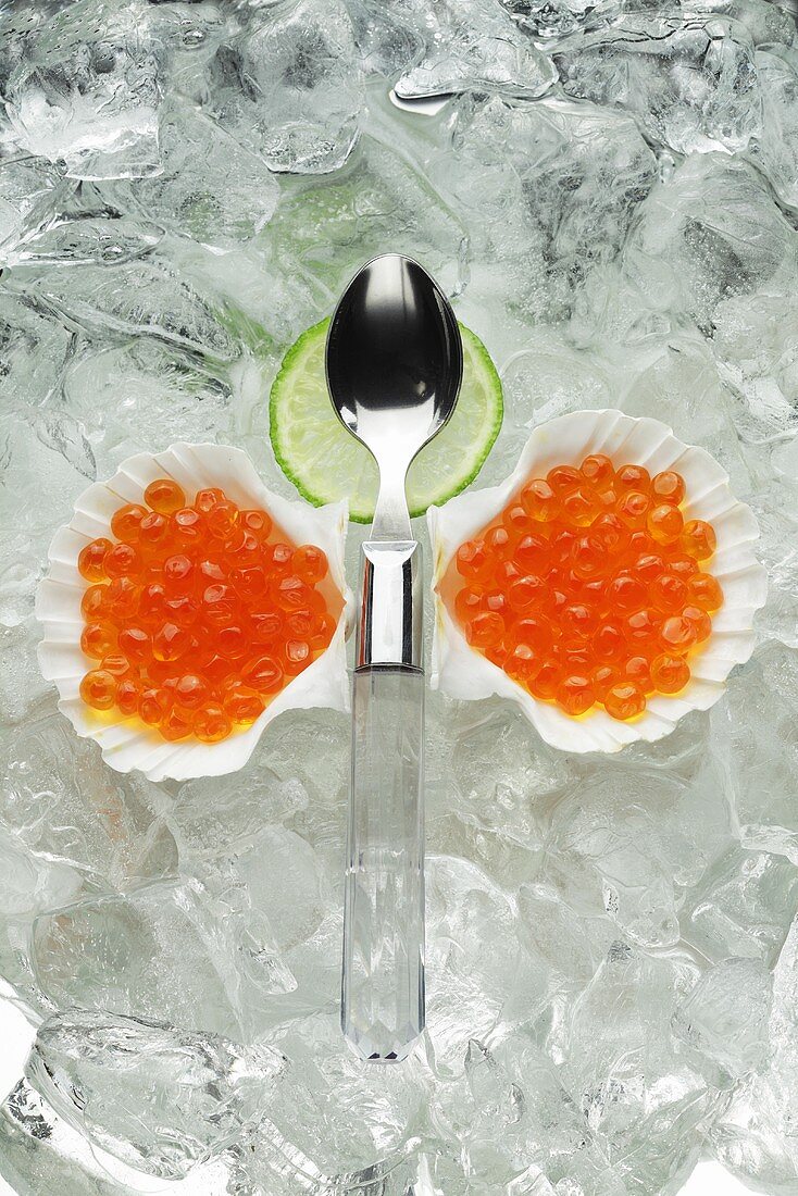 Lachskaviar in Muschelschalen auf Eis