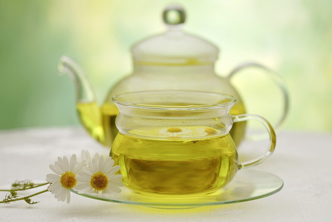 Camomile in glass cup and a pot