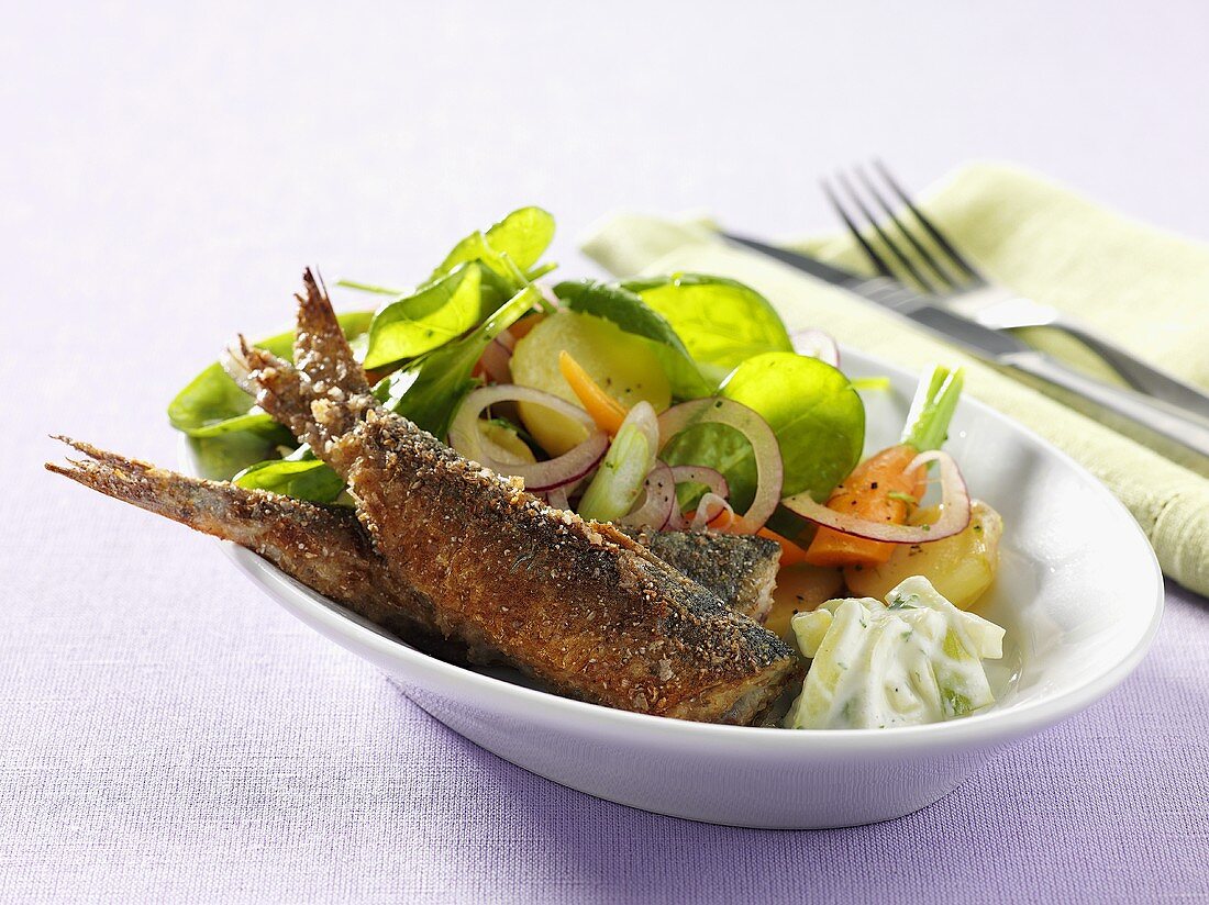 Herring in a mustard coasting with potato salad