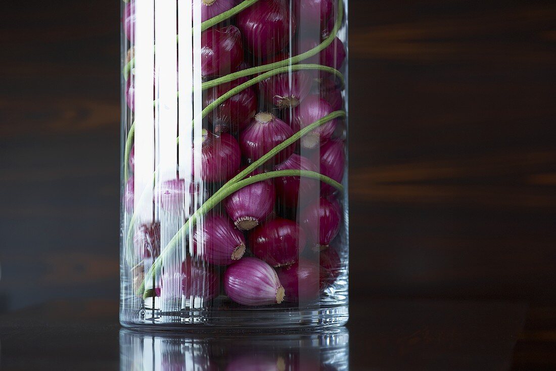 Rote Zwiebeln zum Einlegen im Glas